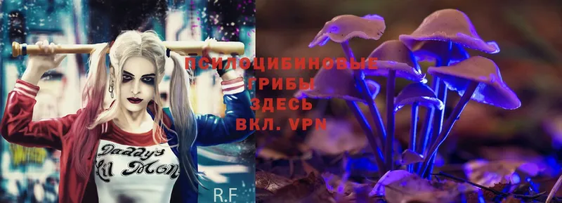 MEGA сайт  Красноуральск  Галлюциногенные грибы Psilocybe 